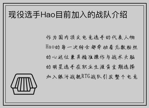 现役选手Hao目前加入的战队介绍