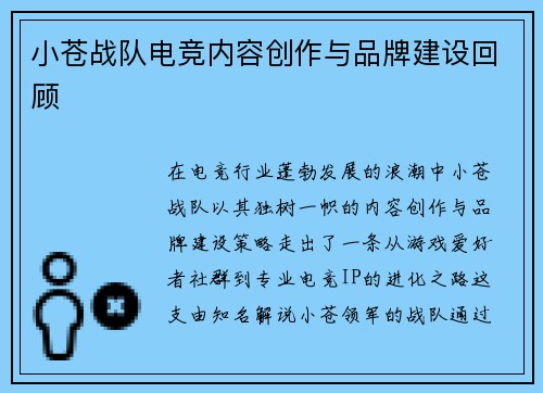 小苍战队电竞内容创作与品牌建设回顾
